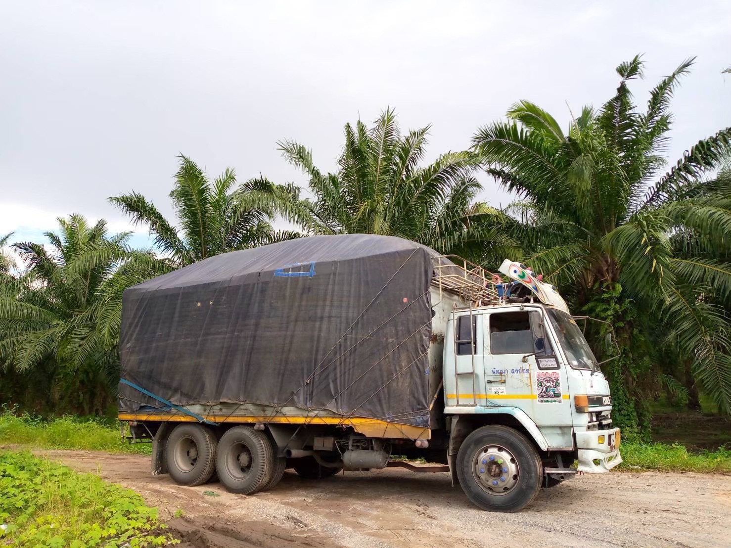 3 - https://ruekdee888-transport.com | ฤกษ์ดี888ทรานสปอร์ต บริการรถรับจ้าง ขนส่งทั้งในกรุงเทพฯ และต่างจังหวัดทั่วไทย เรามีรถหลายประเภทไว้บริการ เช่น รถกระบะคอก, รถกระบะตู้ทึบ, รถ4ล้อใหญ่, รถ6ล้อตู้ทึบ, รถ6ล้อคอก , รถ6ล้อท้ายลิฟต์, รถ10ล้อ, รถเทรลเลอร์, รถพ่วง, รถเฮี๊ยบ